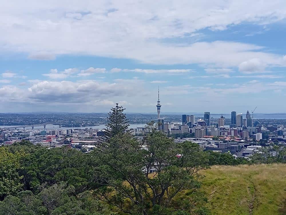 Web Designer in Auckland, New Zealand